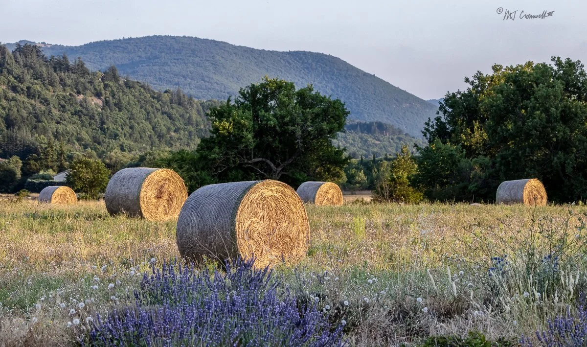 Round Hay Bales in Provence Field 