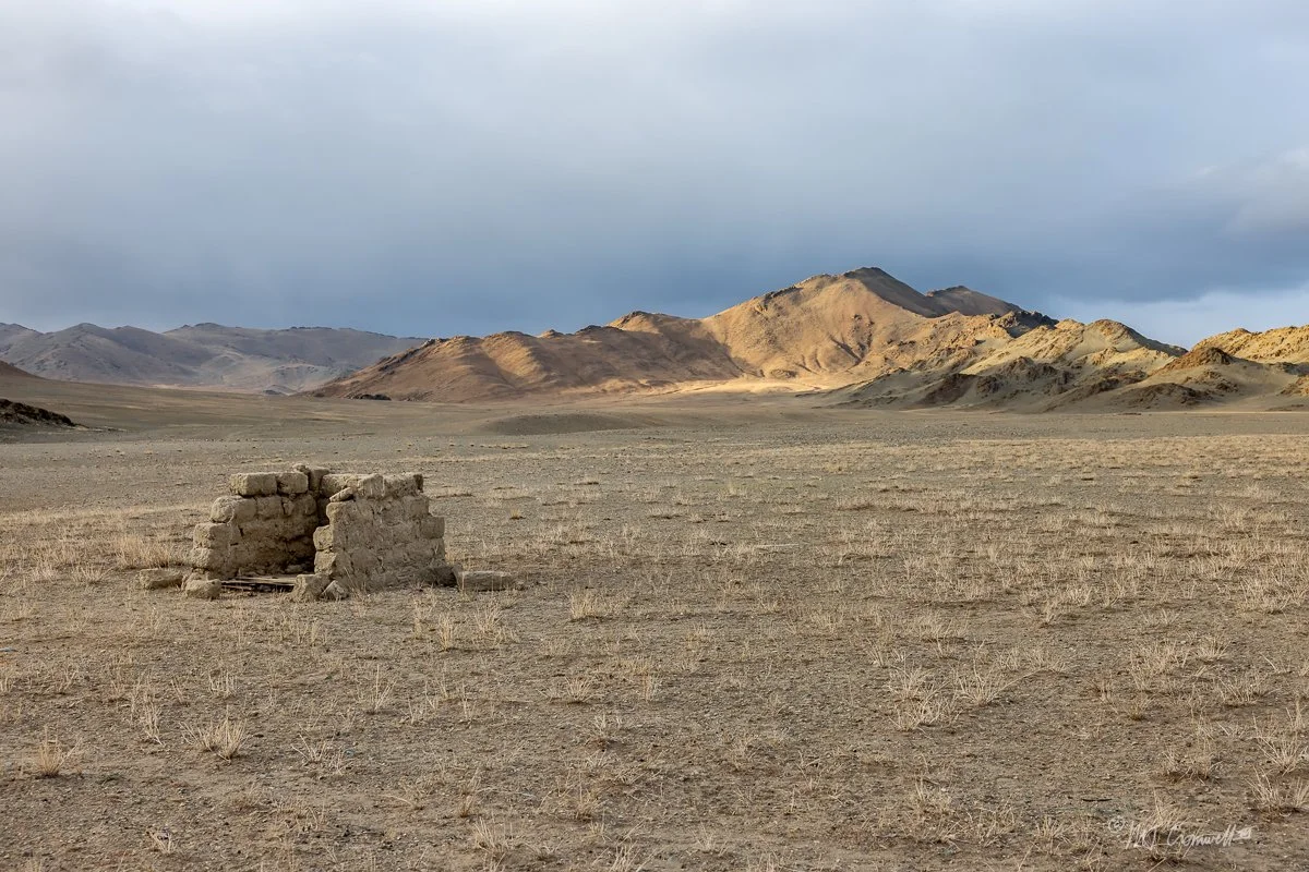 Morning Landscape at First Host Homestead With Uncovered Pit Latrine