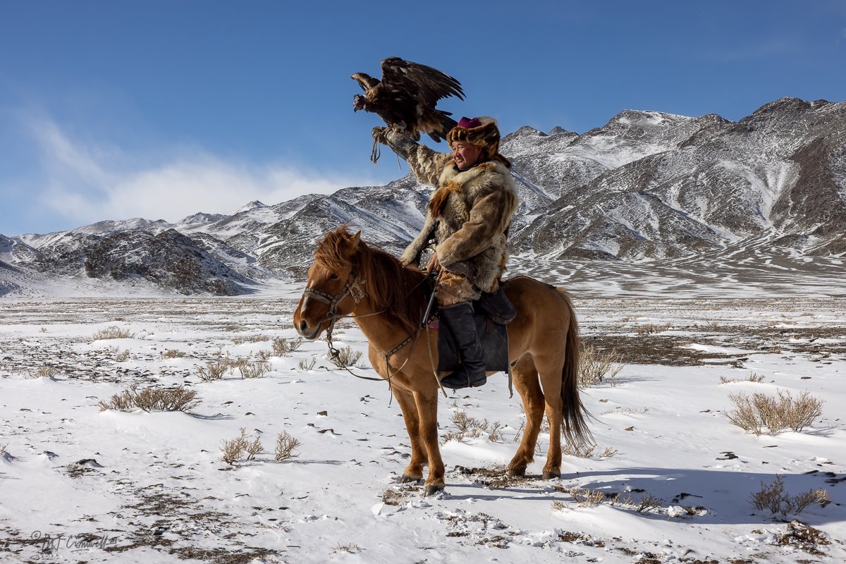 Veteran Hunter Posing With His Eagle at Festival