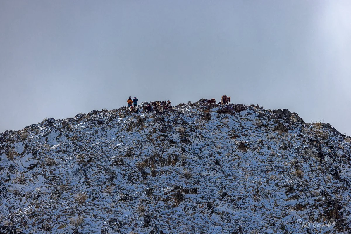 Hill Top From Which Eagles are Released for Events