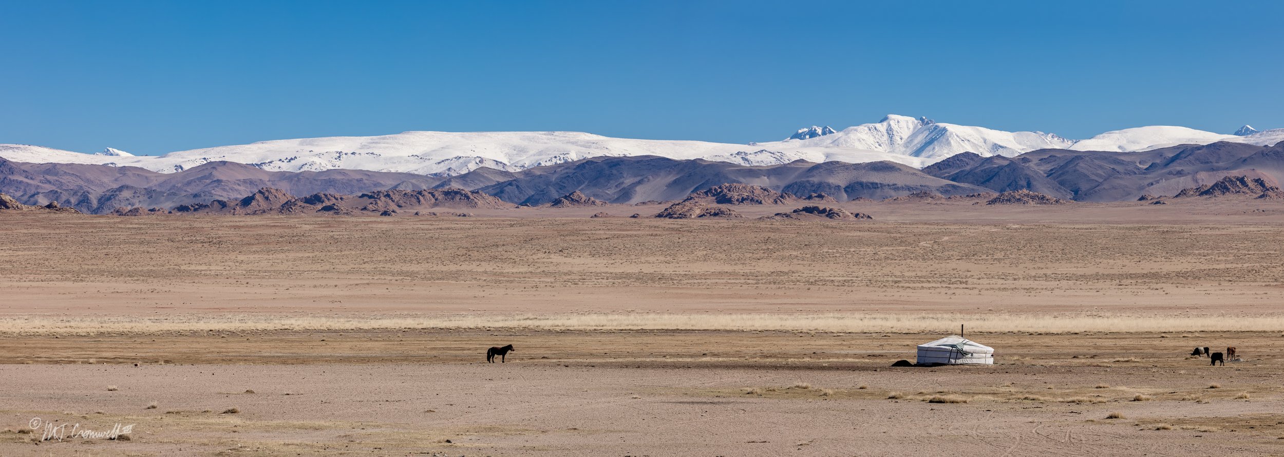 Solitary Ger With Horses on Route from Olgii to Ulaangom