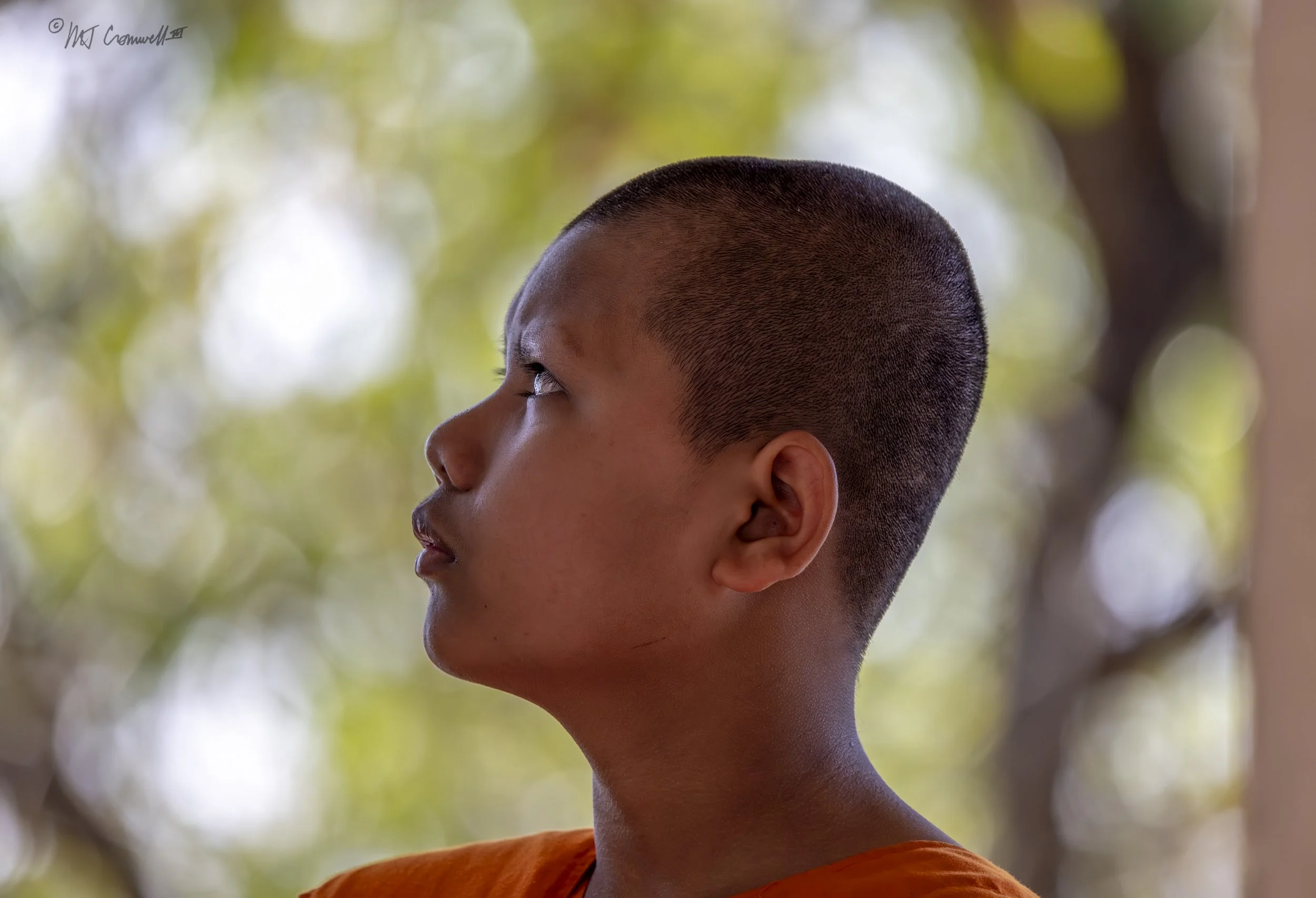 Novice Monk at Wat Hanchey Monastery