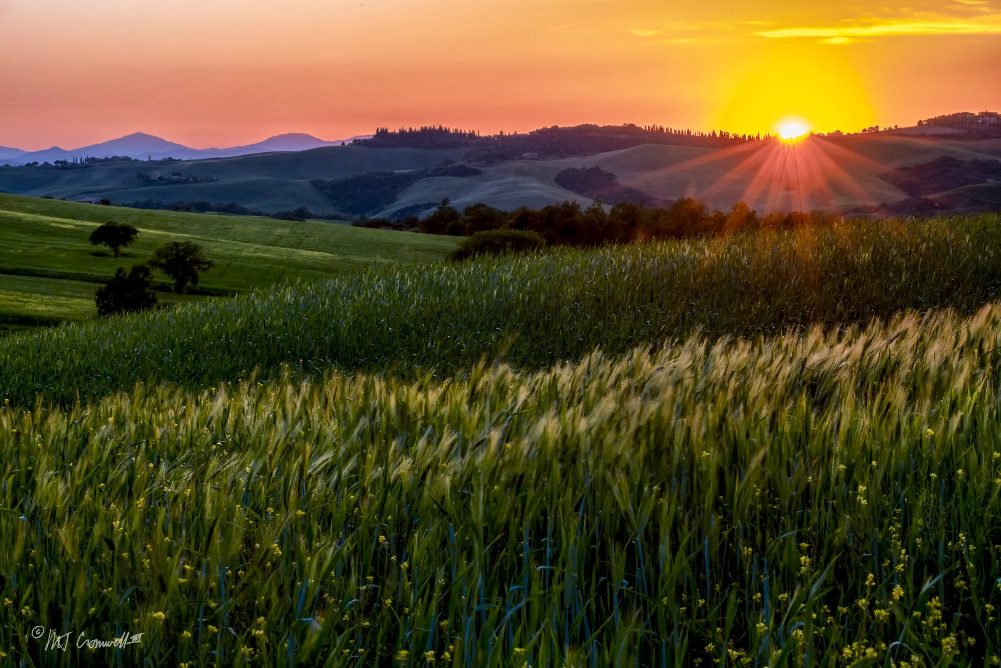 Sunset in Val D'Orcia Region of Tuscany