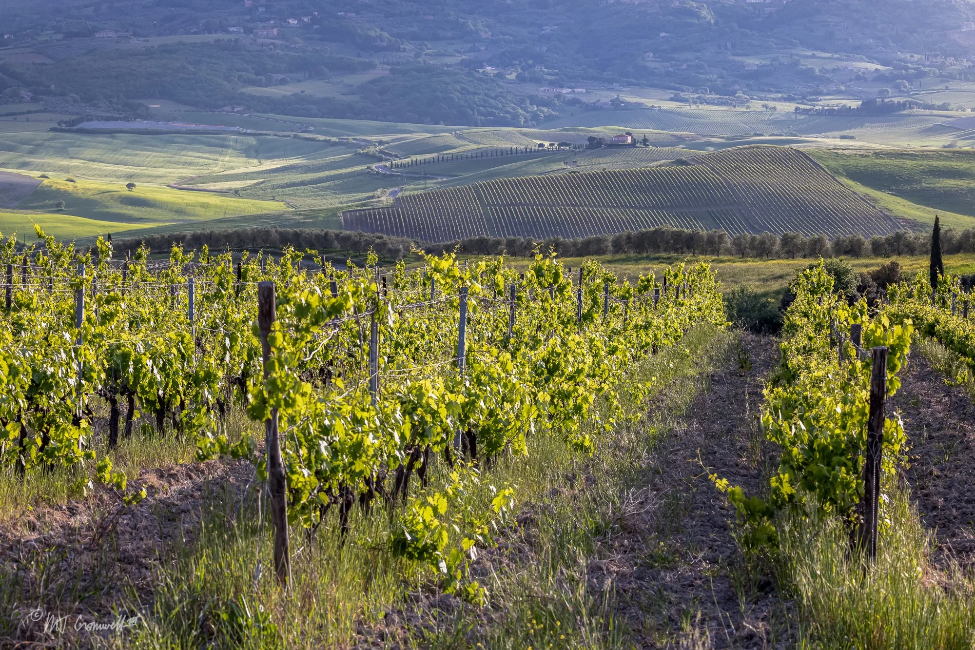 Val D'Orcia is Well Known for Its Fine Wines