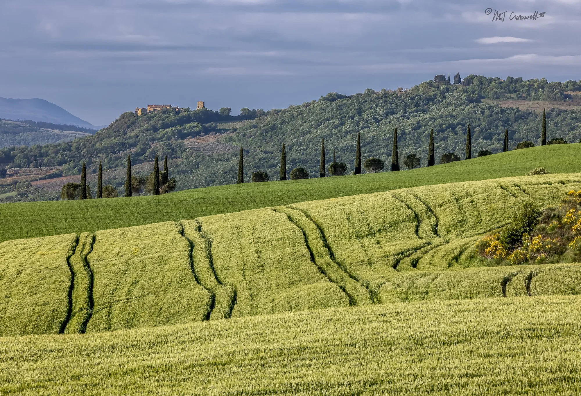 Just After Sunrise in Val D'Orcia