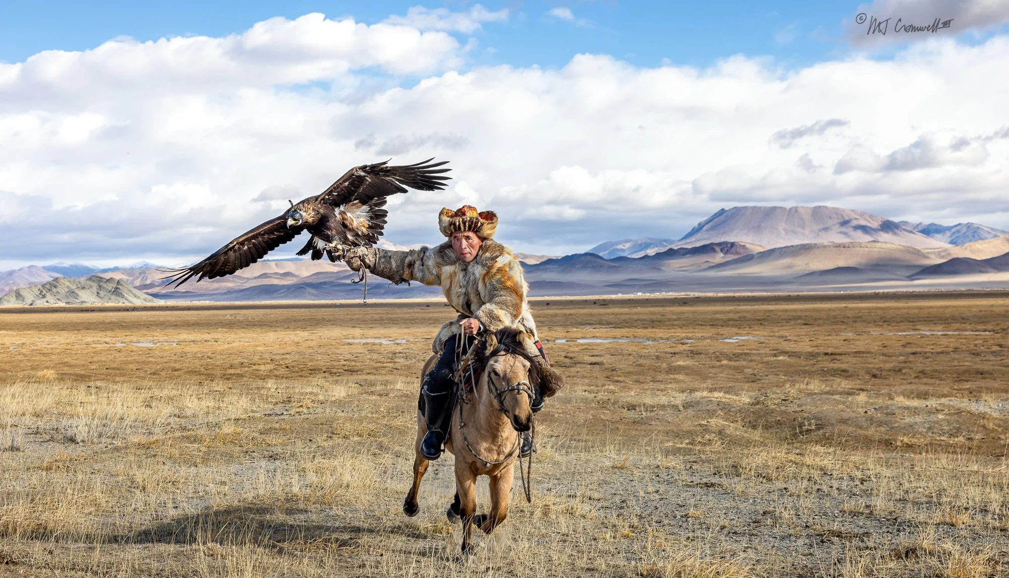 Mongolian Golden Eagle Hunter on Horseback with His Eagle