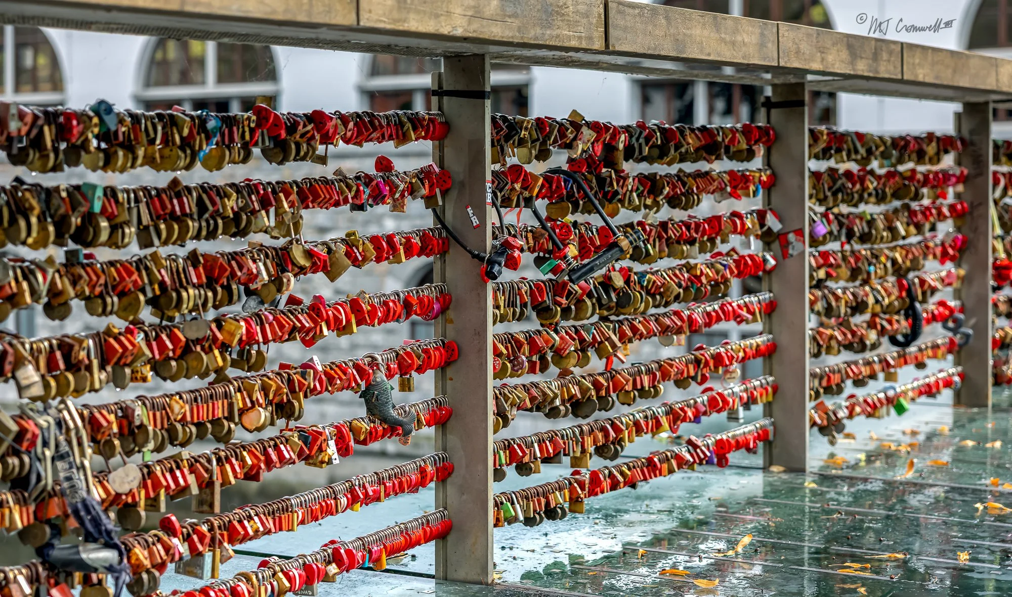 Butcher's Bridge over the Ljubljanica River is covered in lovers' locks