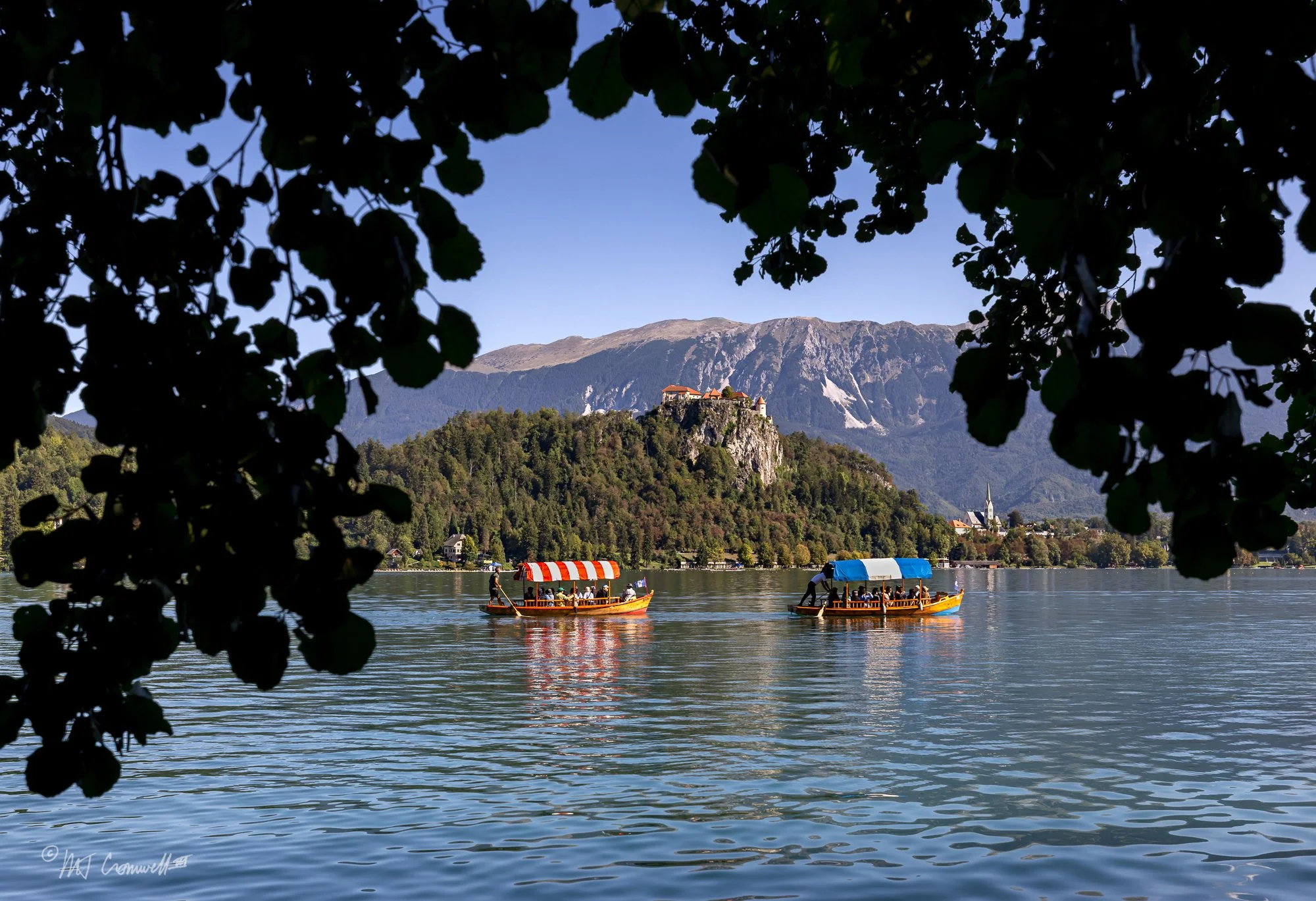Bled Castle Overlooking Pletna Boats on Lake Bled