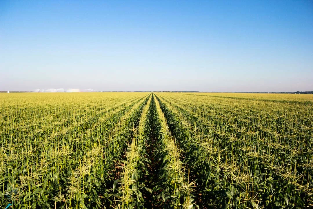 Farmland Symmetry Center copy.jpg