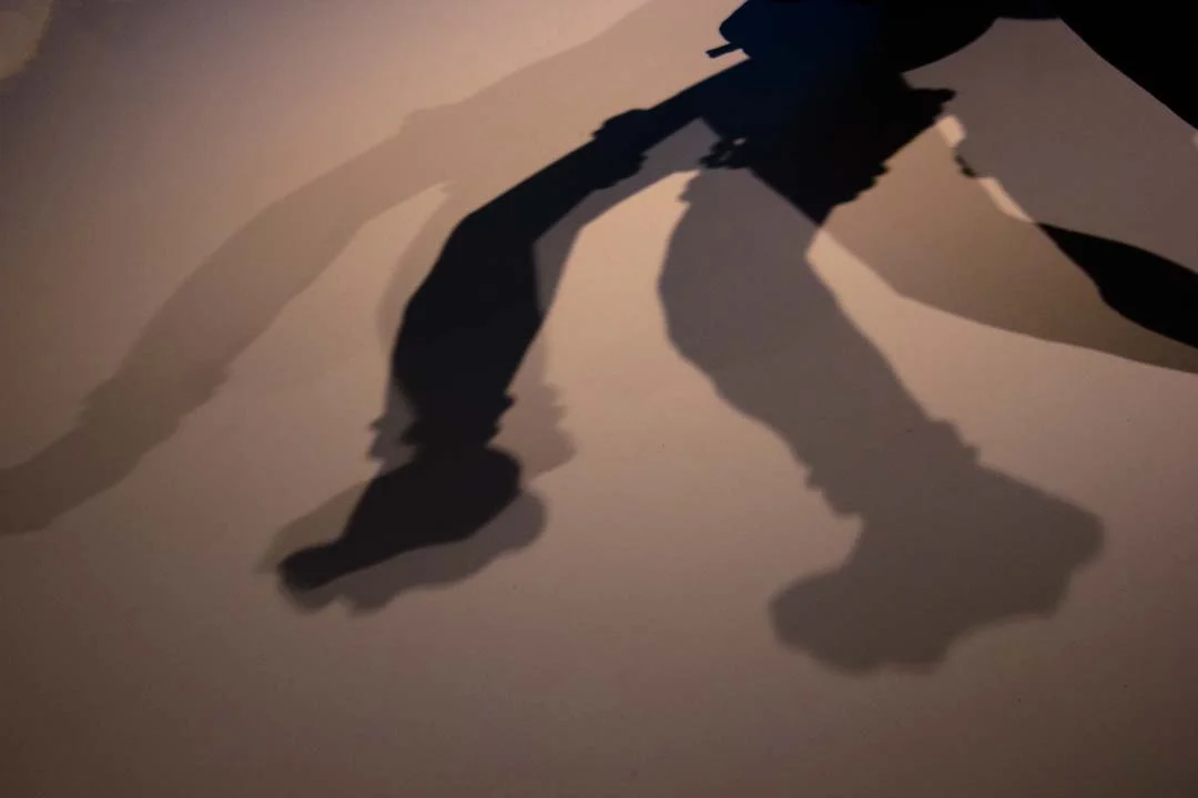the dancer's step.jpg