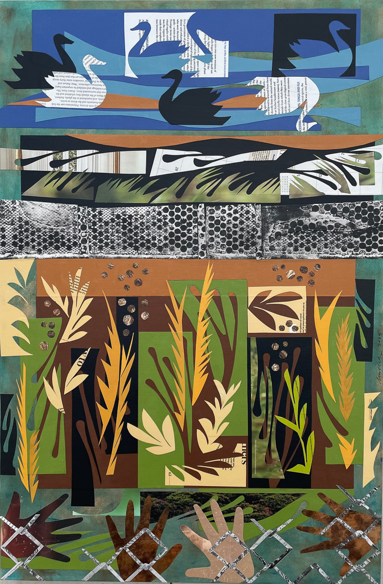 Susan MacMurdy,  Swan Seekers