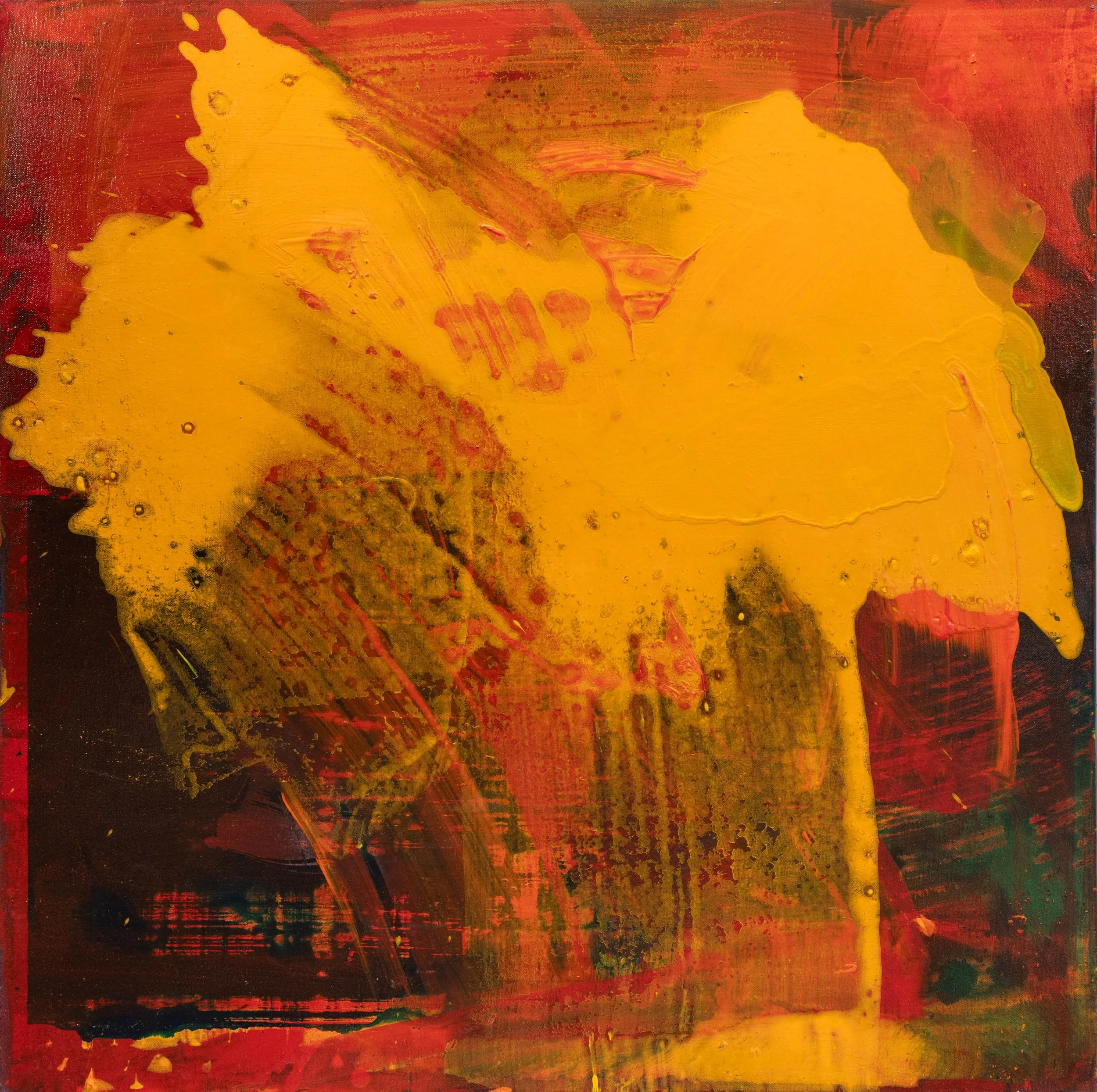 Untitled I, From Rabbits Pulled Out of a Hat