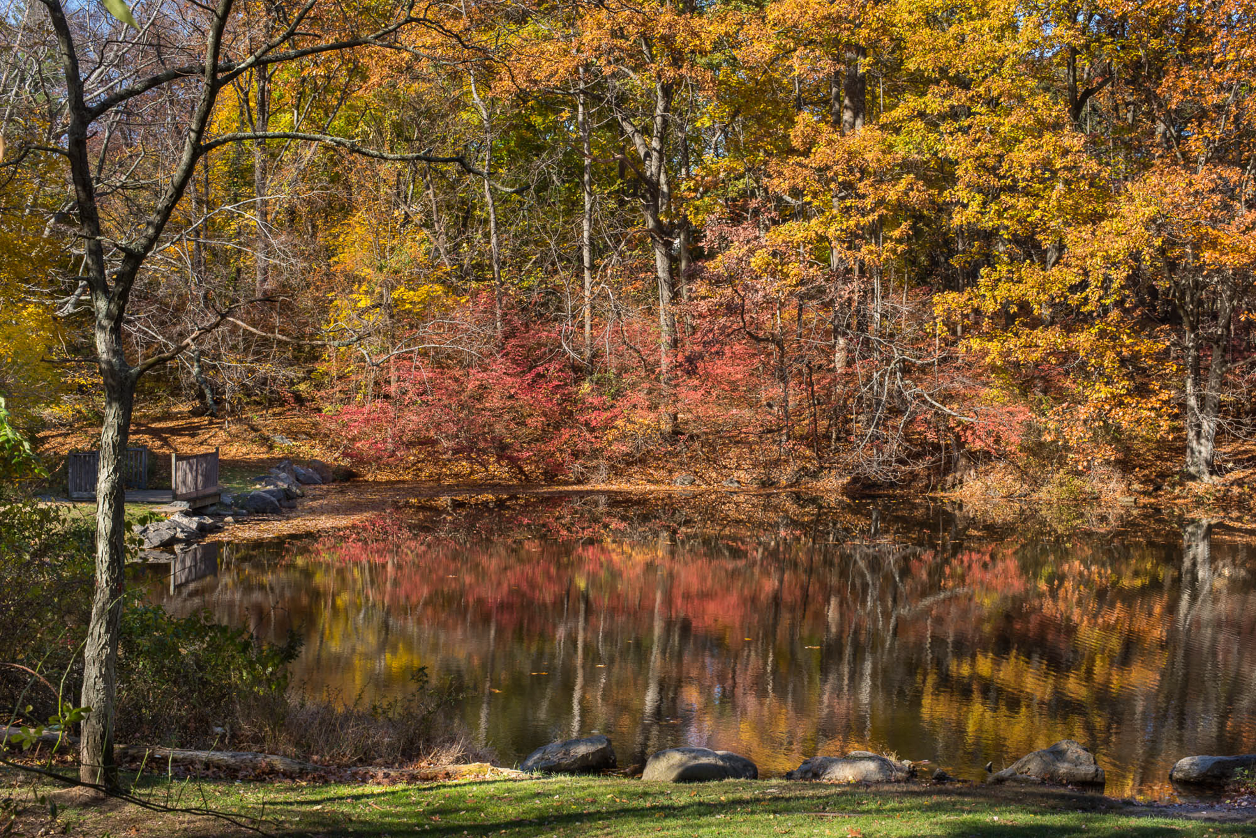 Sugar Pond, Archival Pigment Print, various sizes/editions