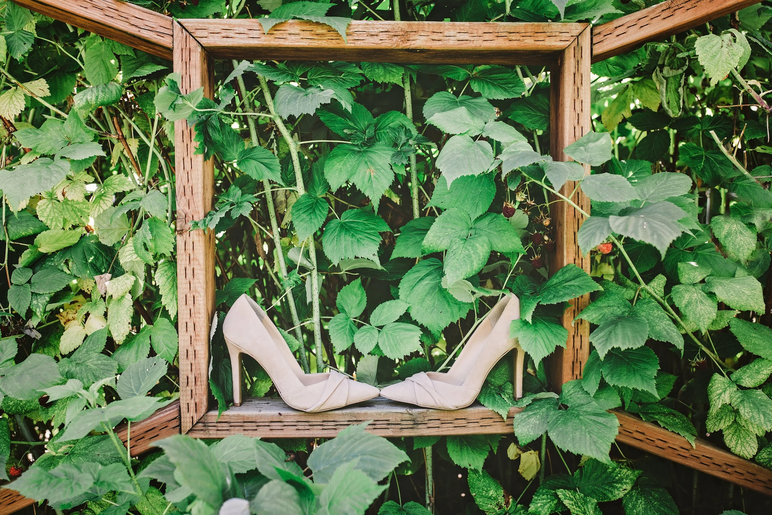 Lacey Phelan Favorites-0002.jpg