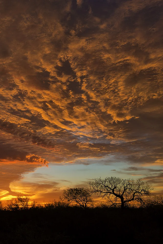 Sunrise @ the Santa Clara Ranch. 2015 © Hector D. Astorga