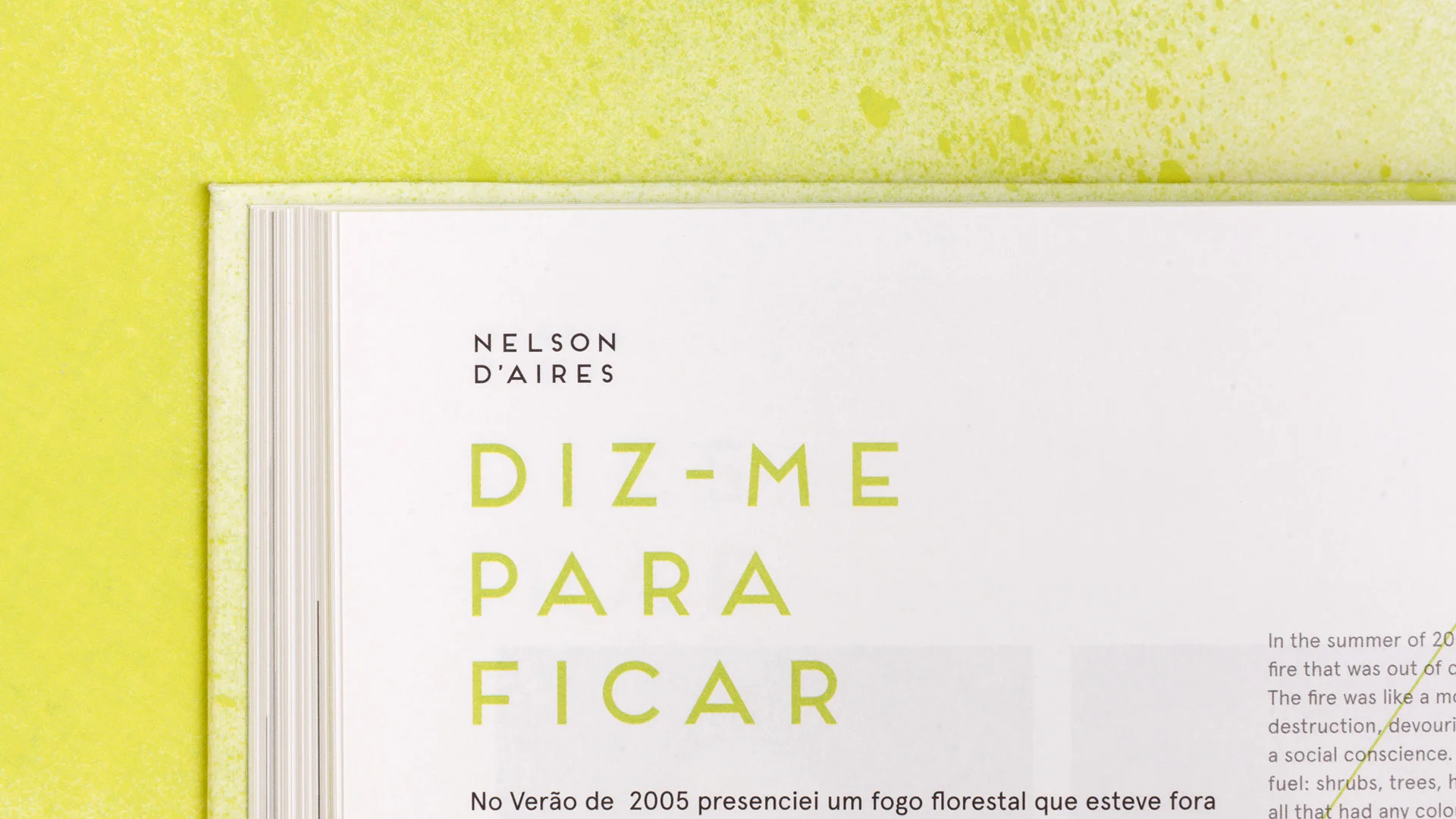 EI2012-Detalhe_NelsonDAires.jpg
