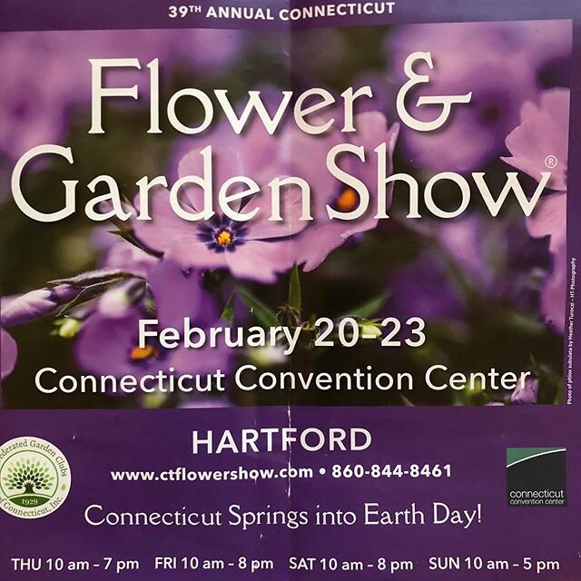 It&rsquo;s flower show season! Four shows in 3 weeks🙂‼️ You can buy begonias at Balleks, and Snug Harbor, but the Violet Barn was the best, some interesting species and hybrids. Oh did I mention gesneriads too?#flowershows #connecticutflowerandgarde