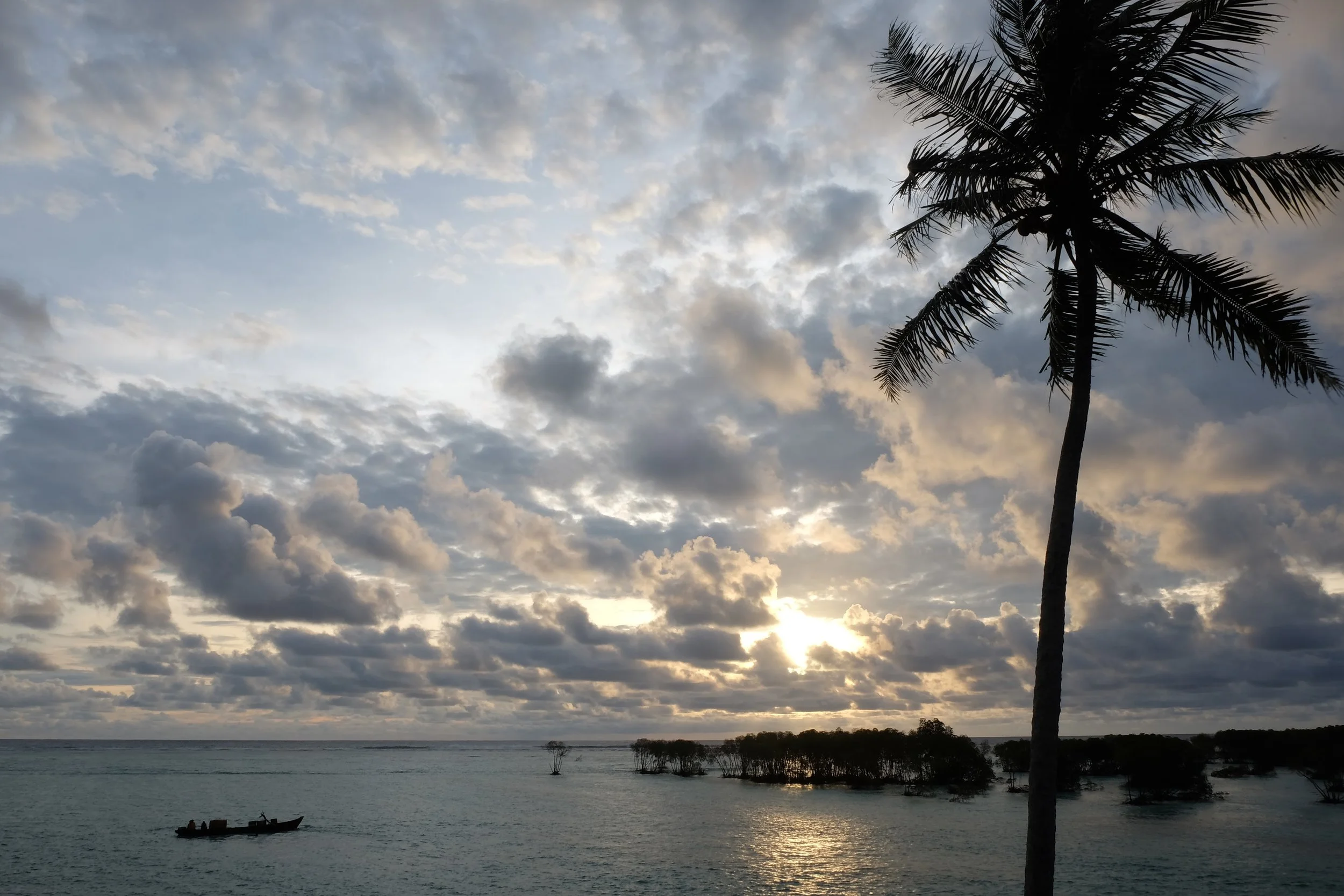 DSCF6315.JPG