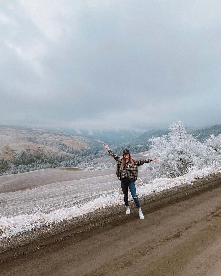 It&rsquo;s beginning to look a lot like Christmas! #DiscoverWallaWalla
📸 @saydelmelissa
.
.
.
.
 #winecountry #winetours #winelover #wallawallawa #wallawalla #downtownwallawalla #wallawallawash #pnw #pnwtravel #hiddengem #smalltown #downtown #wineta