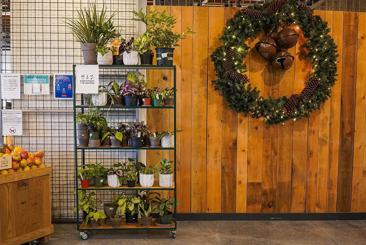 Need to do some last minute shopping for the plant lover in your life? The Market by Andy&rsquo;s has a great selection of plants and pots! 🎄🌱🎁✨ #DiscoverWallaWalla