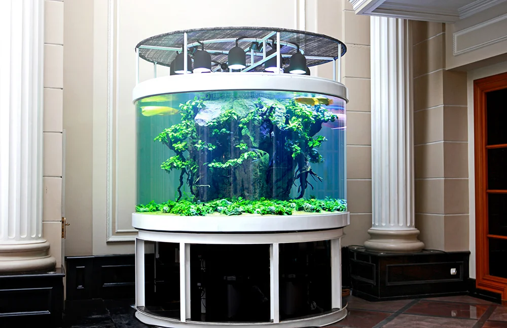 web_pooltank_2.jpg