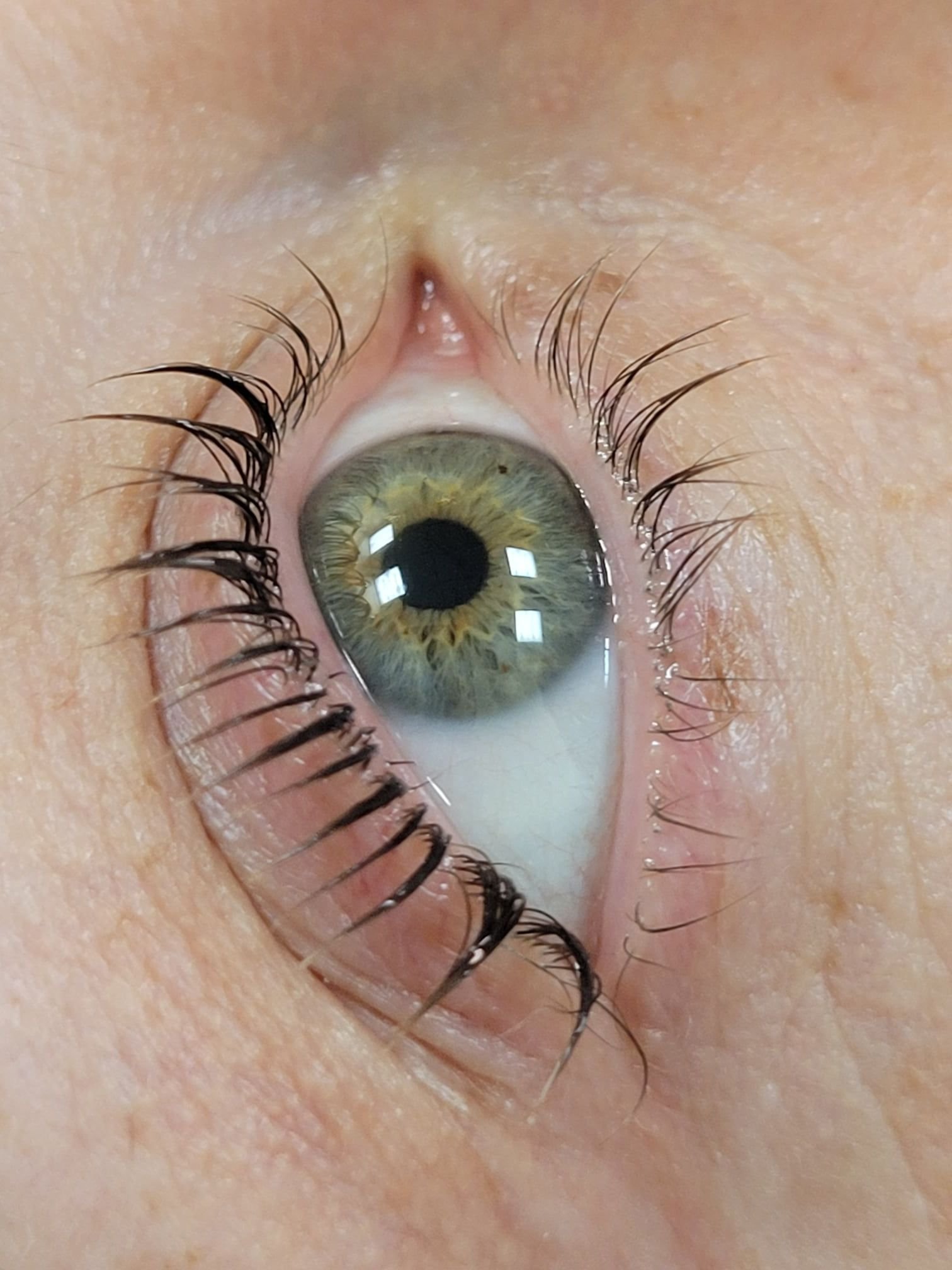 Lash 1.jpg