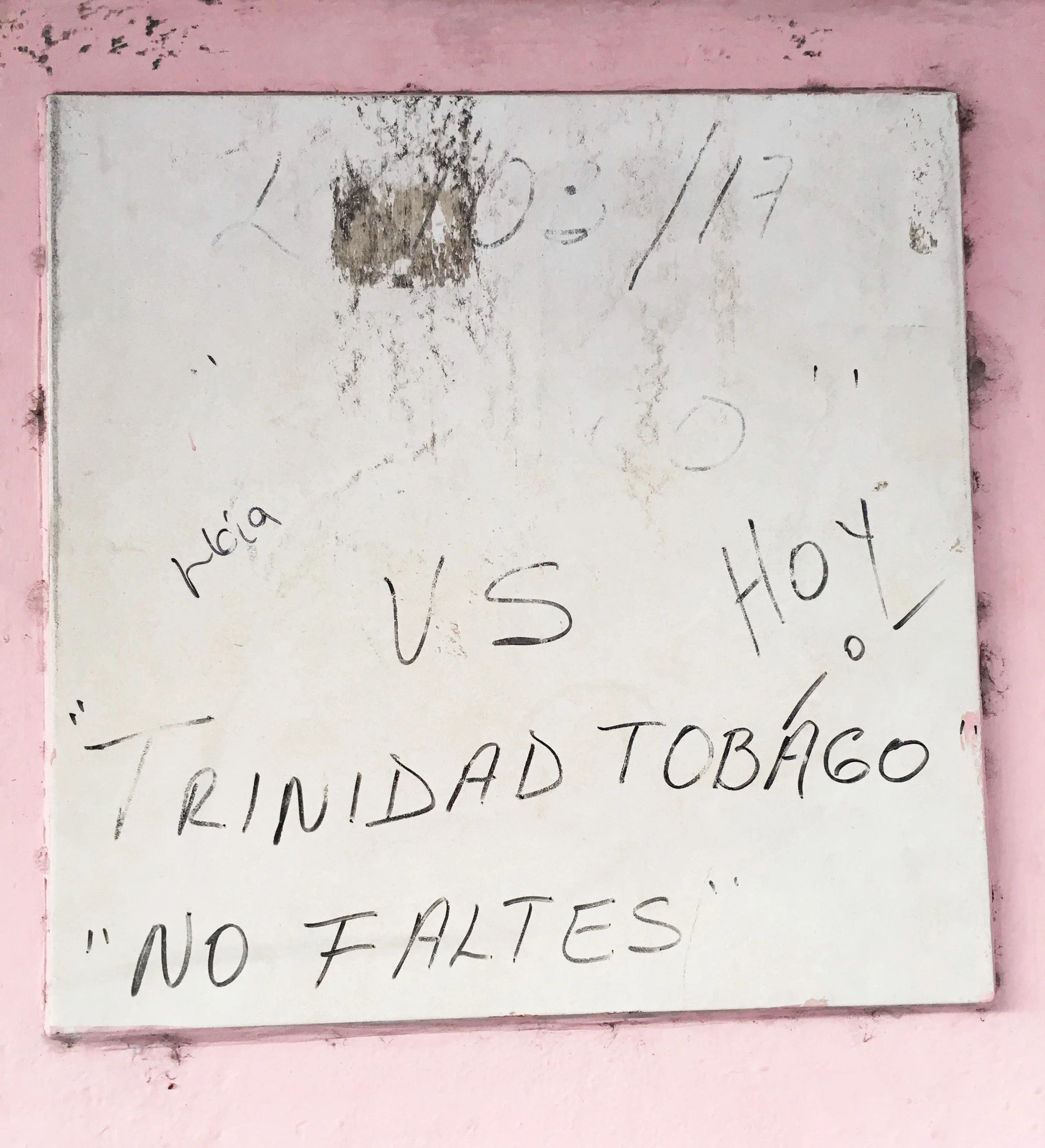 Spotted in Veracruz, Mexico