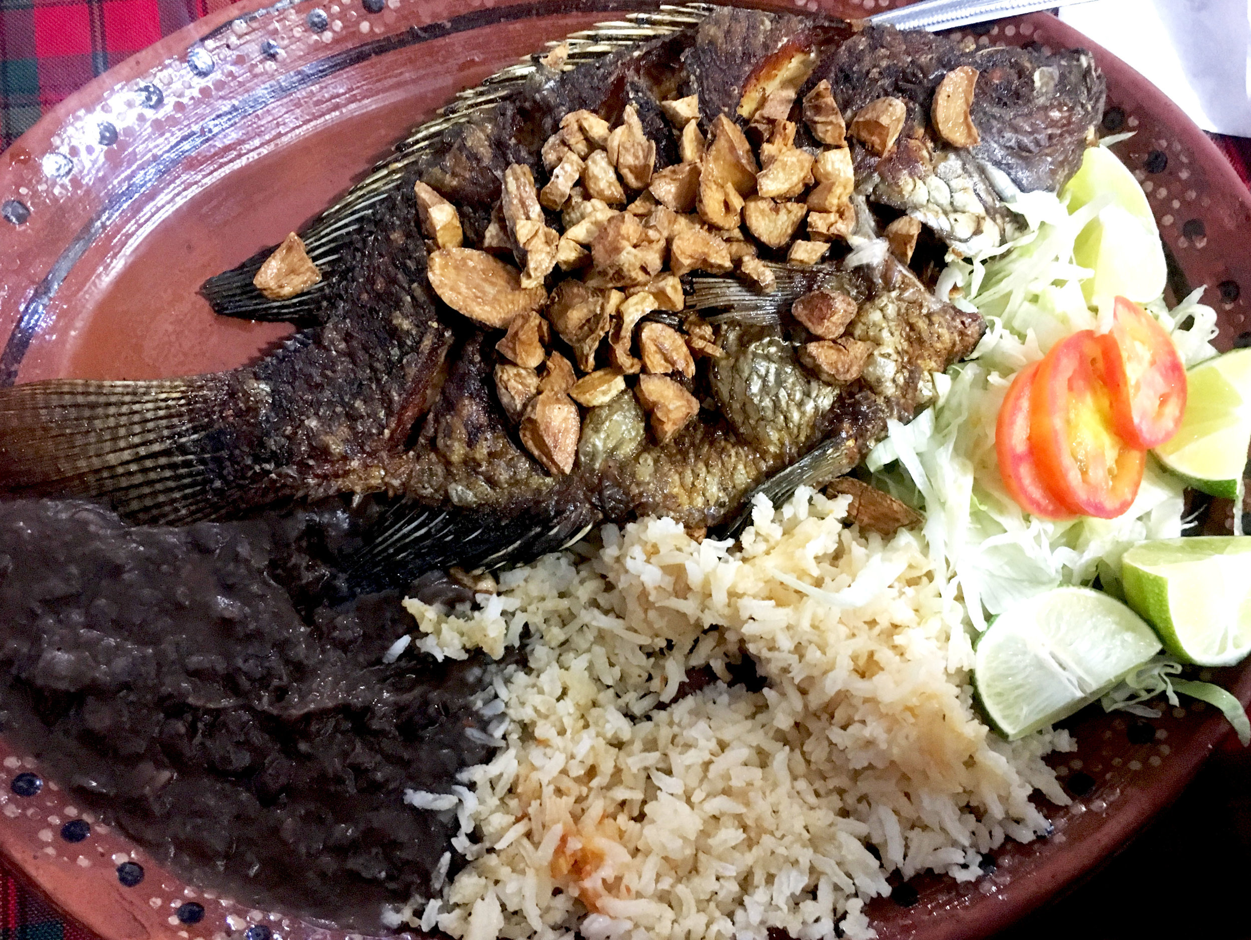 Food in Veracruz, Mexico