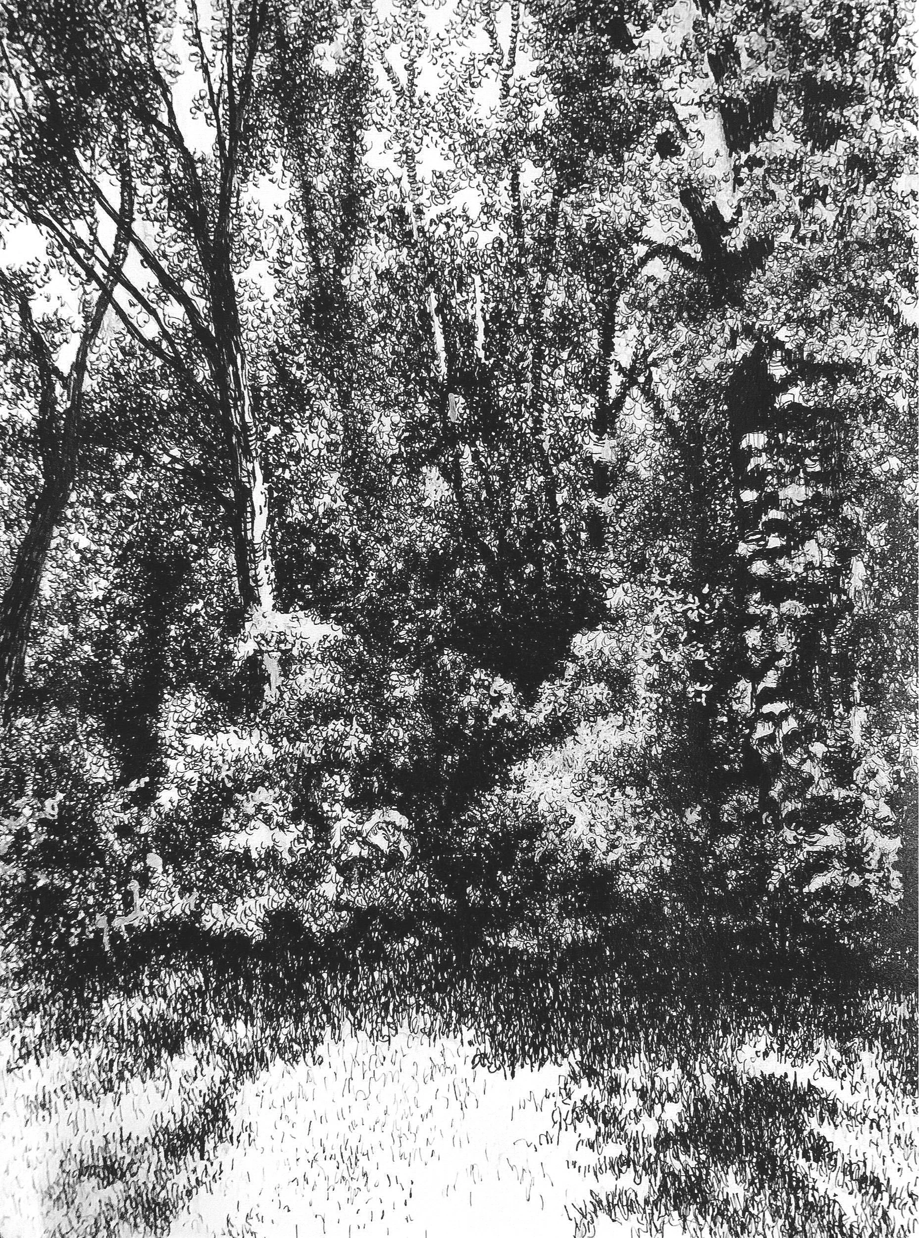 I took a photo of a scene from our bathroom window in 2020. I finally got around to rendering it in early 2022.