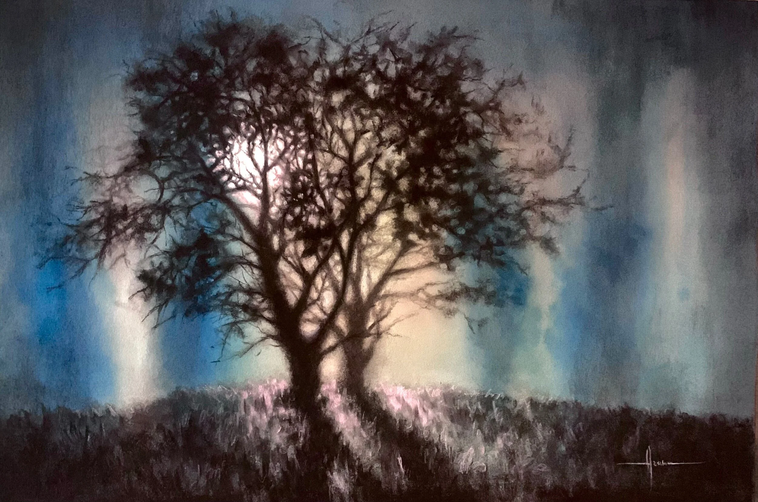 2569E082-5DA7-44F7-B6DB-DCFF7FB1354C