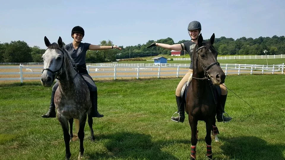 Horseless horse friends