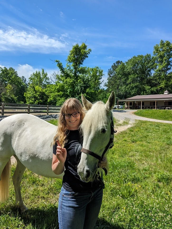 6 lessons from one year of horse ownership