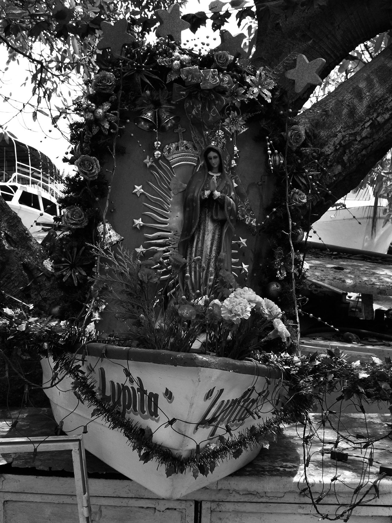 Acapulco-3-8262.jpg