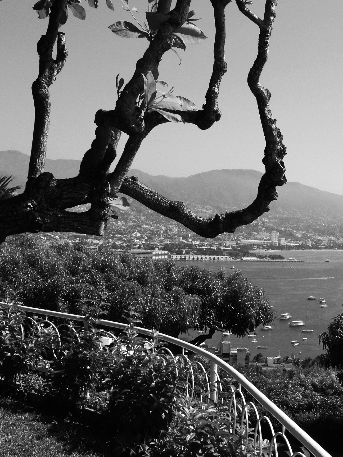 Acapulco-10-8338.jpg