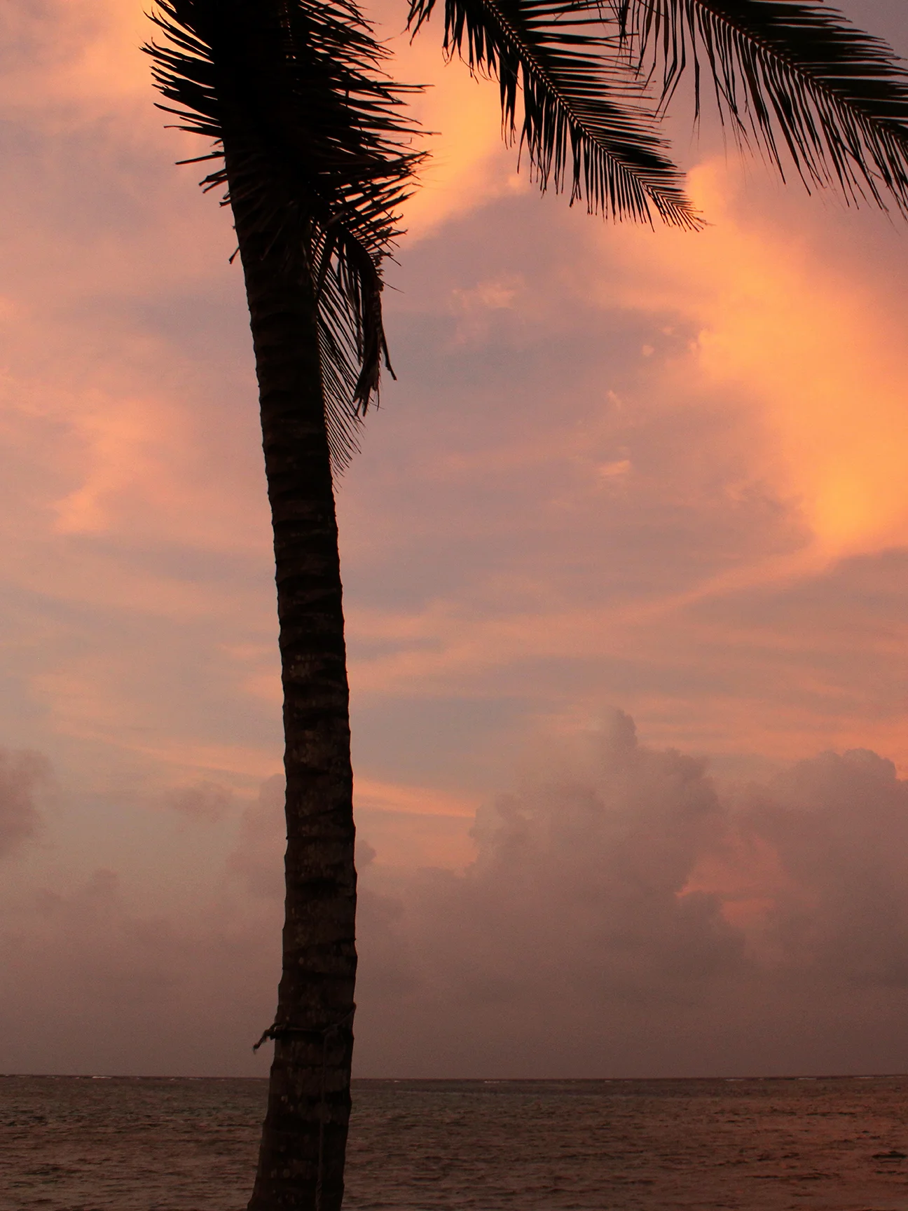 Panama-23-6668.jpg