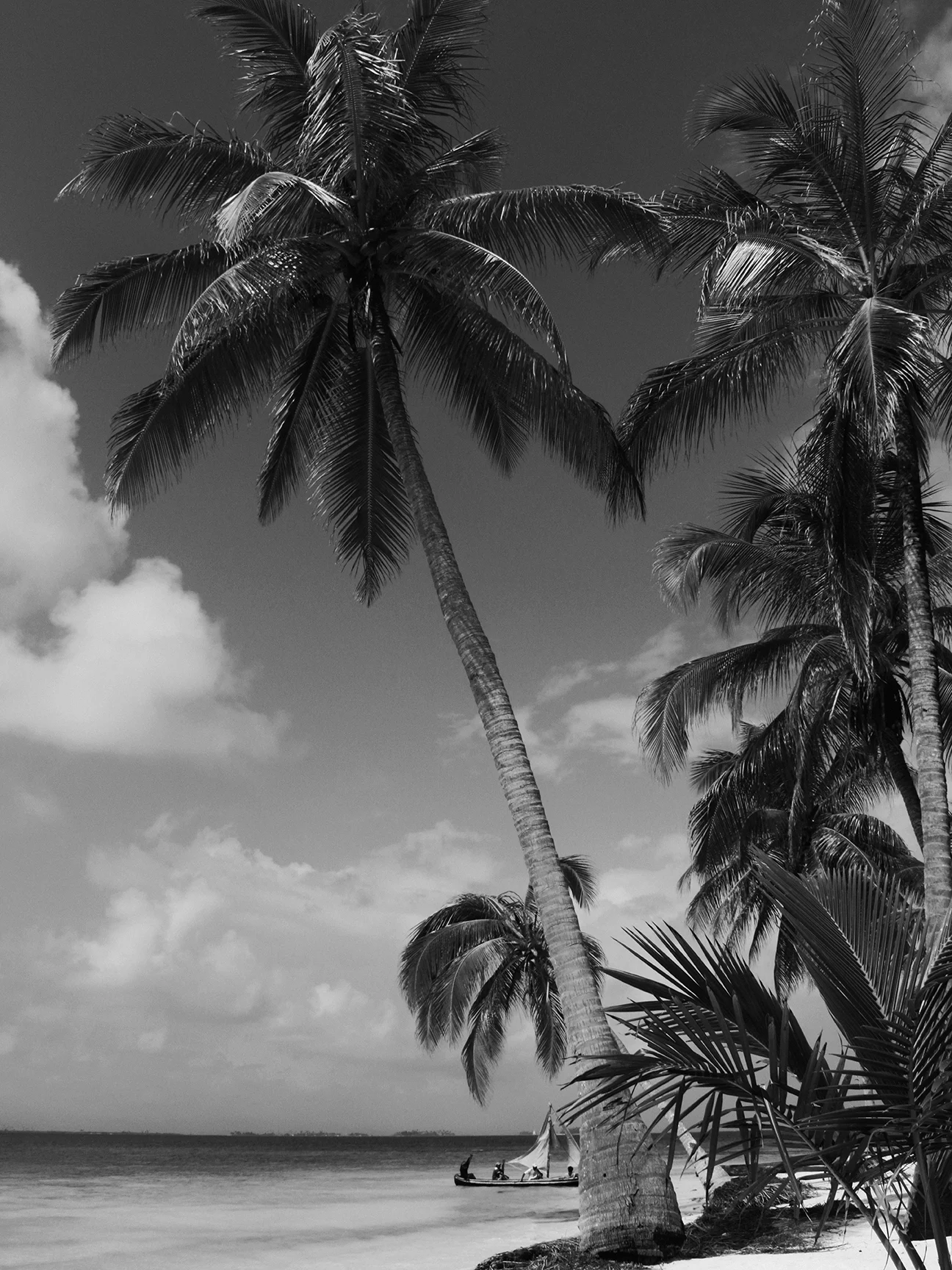 Panama-25-6789.jpg
