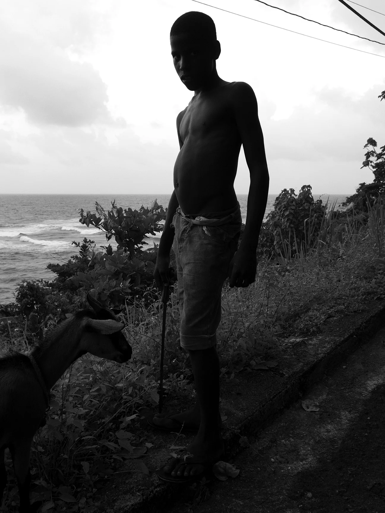 Jamaica-15-1-3155.jpg