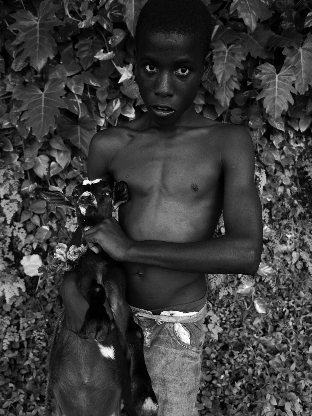 Jamaica-17-1-3200.jpg