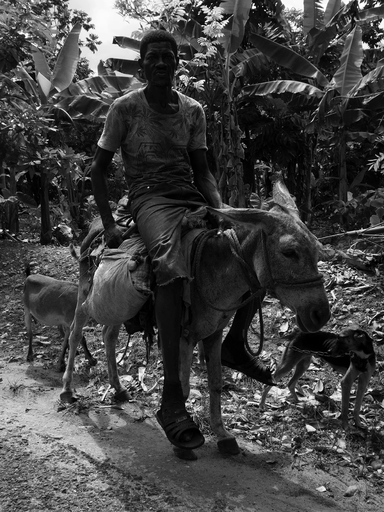 Jamaica-31-1-3811.jpg