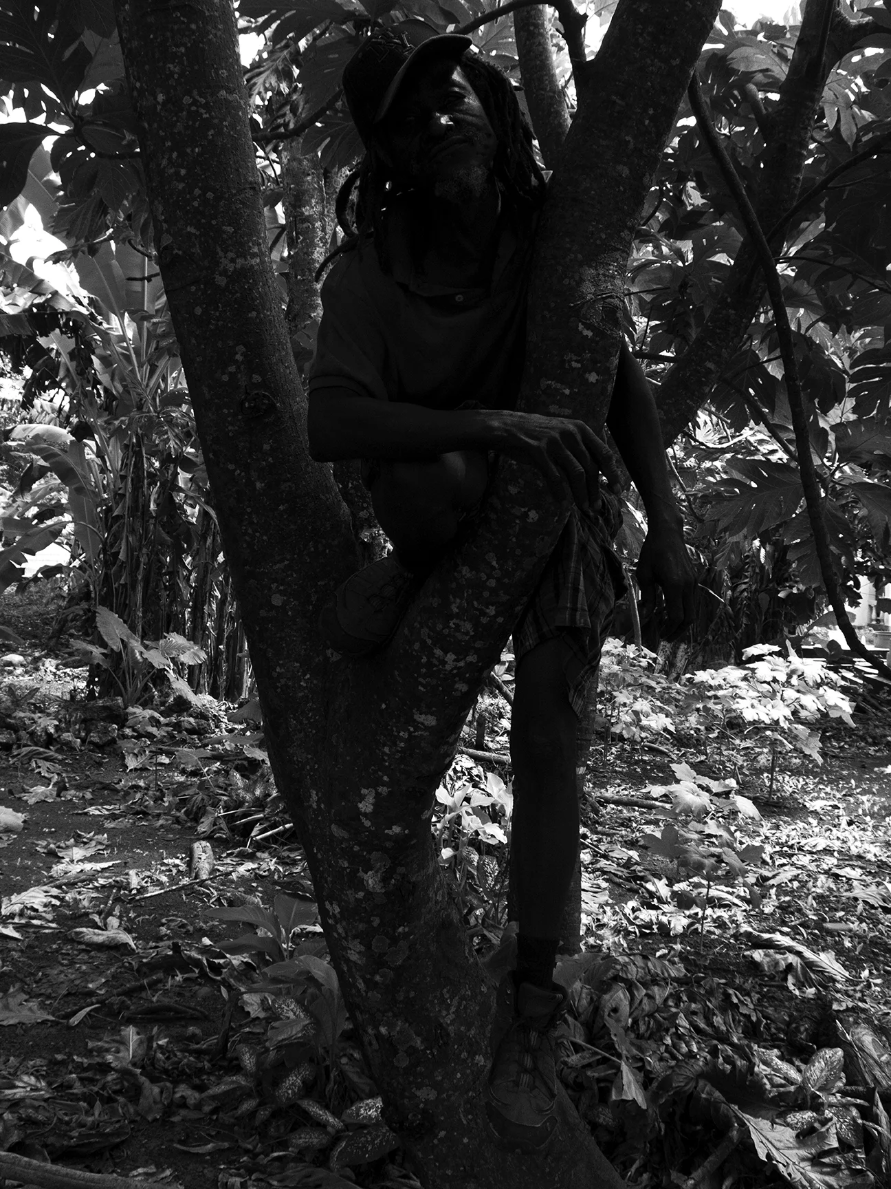 Jamaica-63-2-5083.jpg