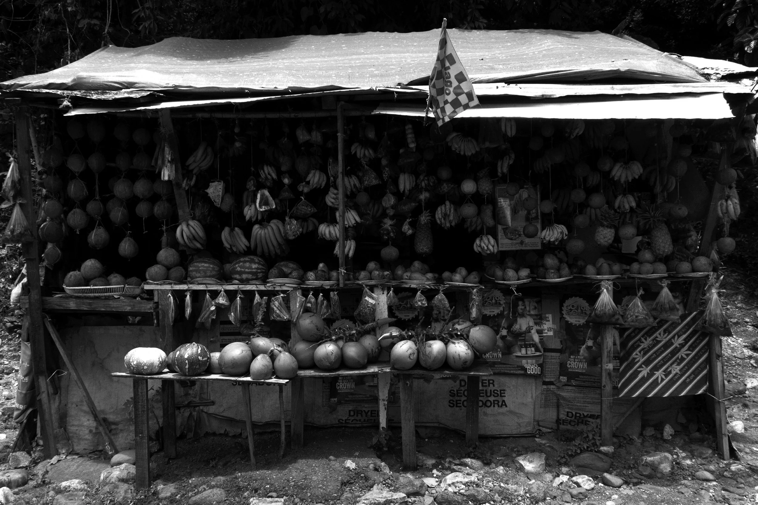 Jamaica-100-1-4102.jpg