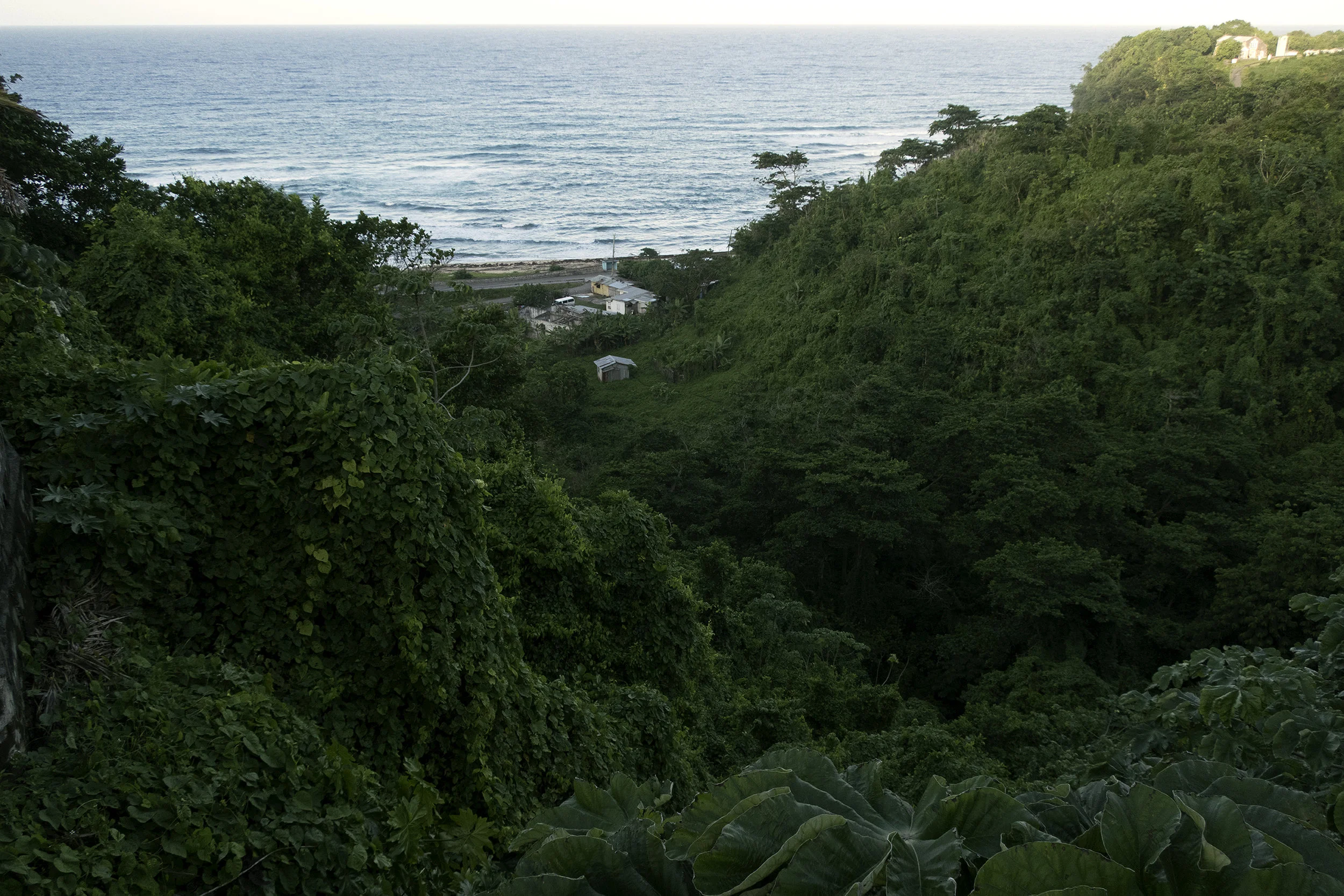 Jamaica-101-2-4984.jpg