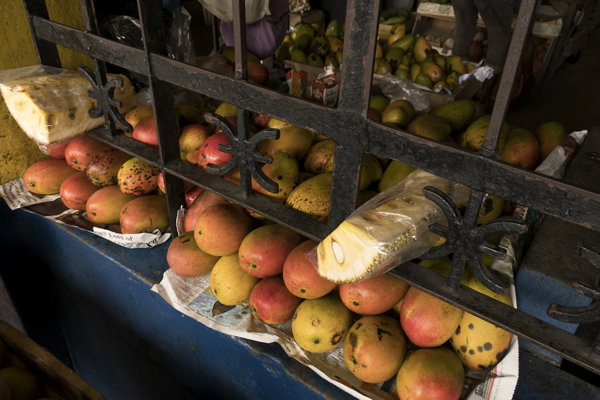 Jamaica-130-1a-4718.jpg