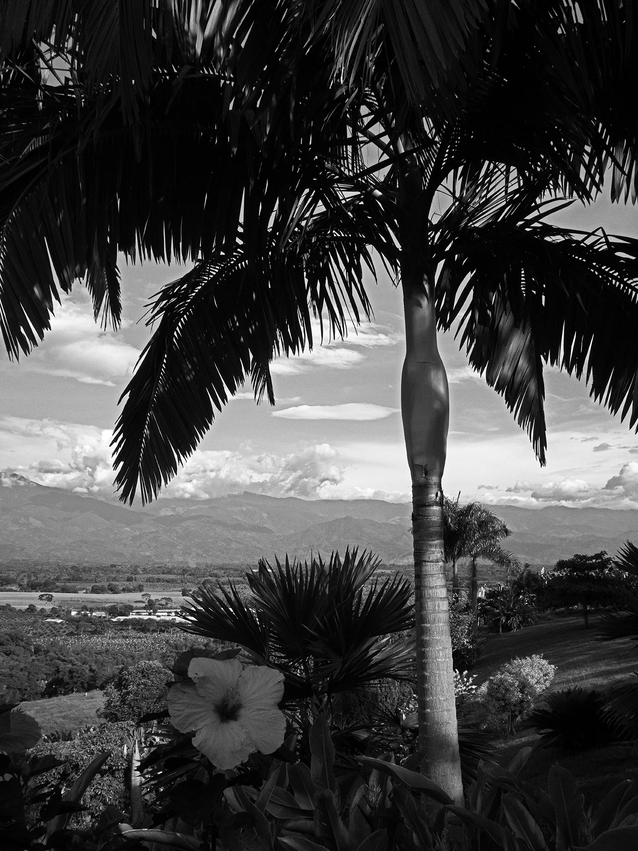 Colombia-34-1-8620-.jpg
