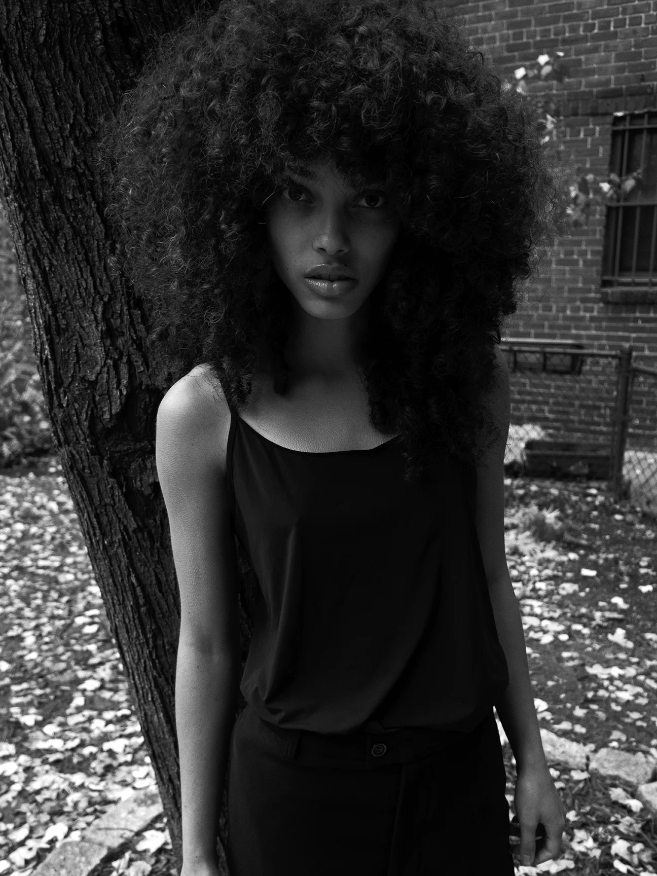 Aliana-7.jpg