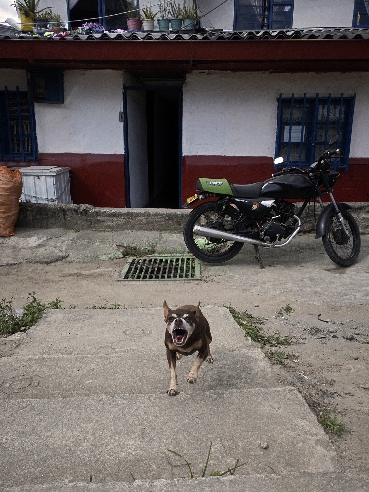 Colombia-21-1a-0352.jpg