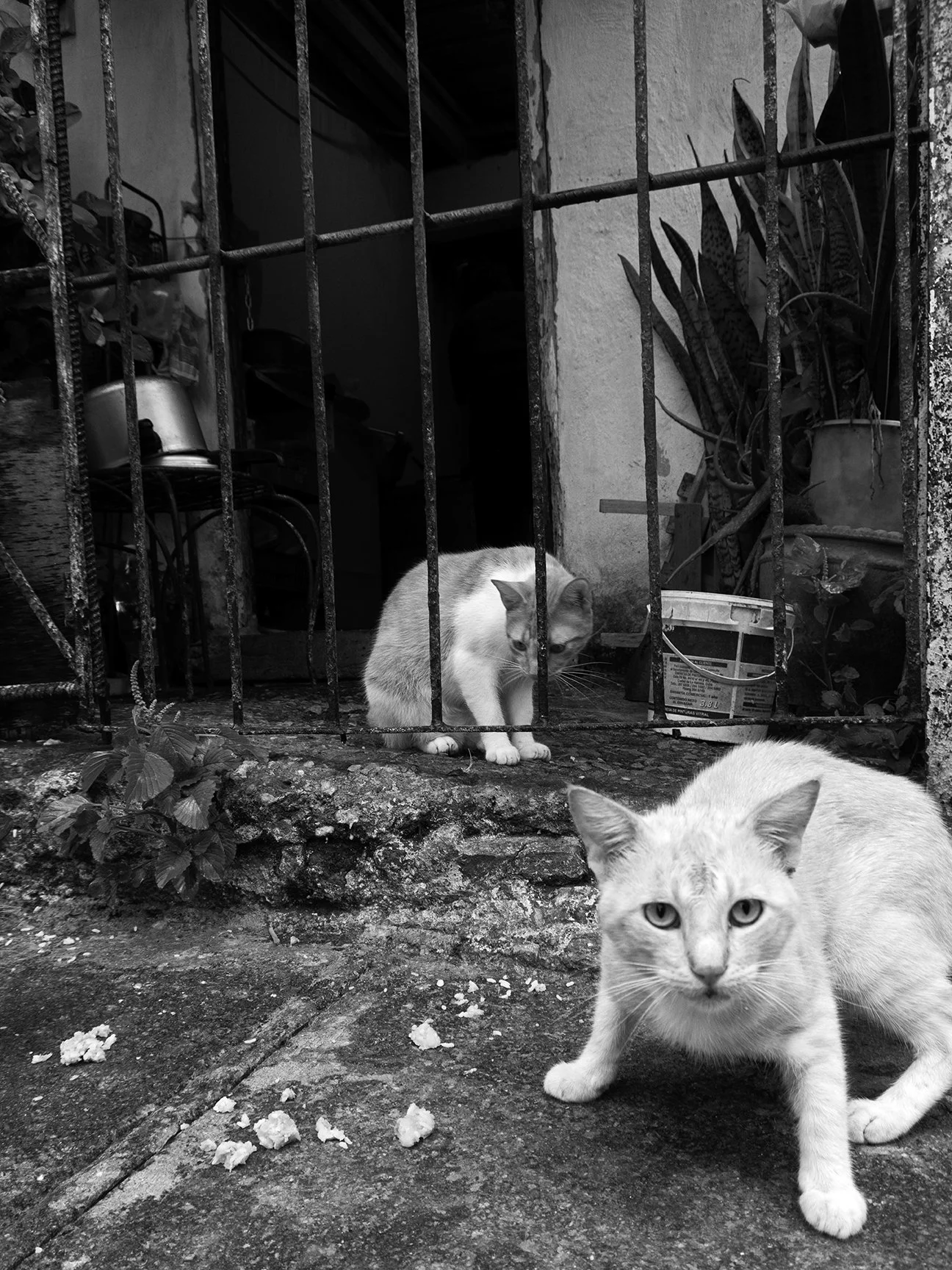 Cuba_6_8941.jpg