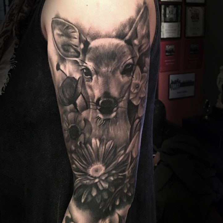 deer.jpg