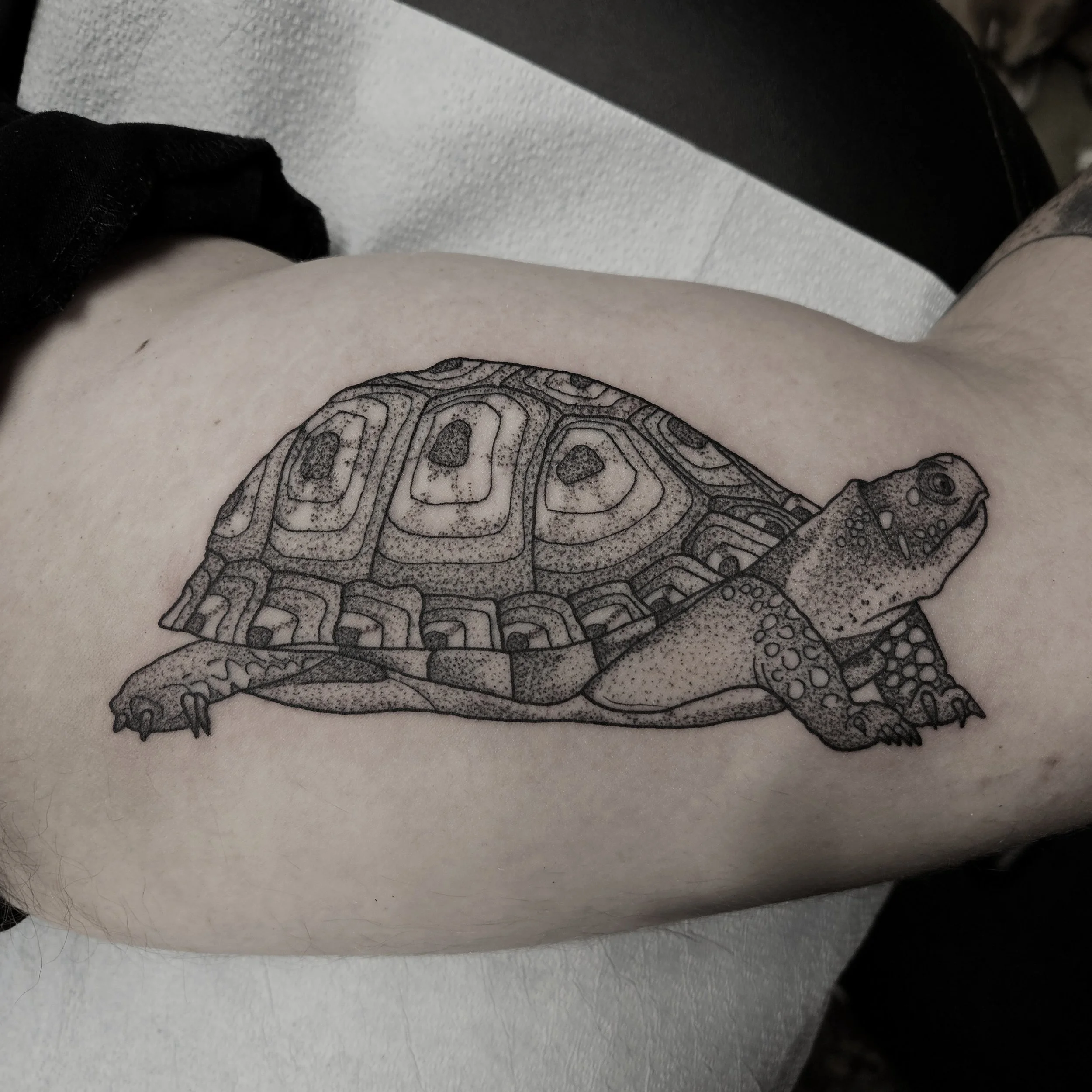 Tortoise Tattoo by Kirk George