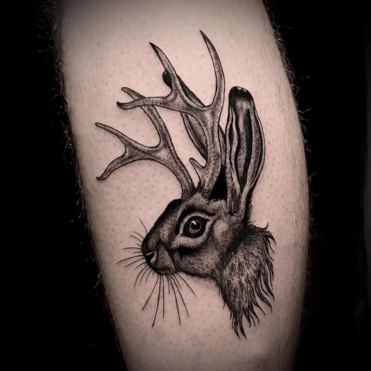 Jackalope Tattoo by Rhonda Heath 